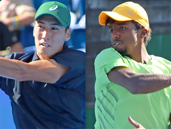 綿貫陽介、イメル