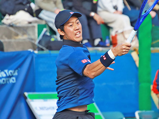 錦織圭（2025年）